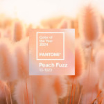 , The 2024 Pantone color of the year